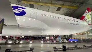 Edelweiss A350 Walkaround