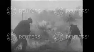 Heath fire at Dorking
