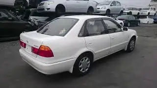 Видео-тест автомобиля Toyota Sprinter (белый, AE110-3028568, 5A-FE, 1999г.)