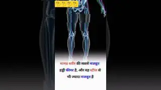 strong bone in the human body