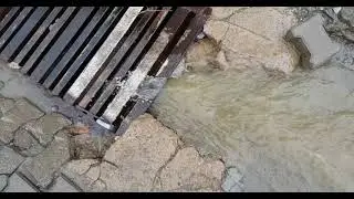 Good Drainage | Choose The Right Location For Dog Run Ideas Backyard