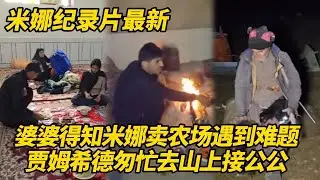 婆婆得知米娜卖农场受阻！贾姆希德匆忙去山上接公公回来，卡迪尔又在预谋什么？#纪录片 #伊朗游牧民生活