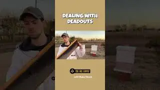 BEEKEEPING in under a minute: Dealing With Deadouts