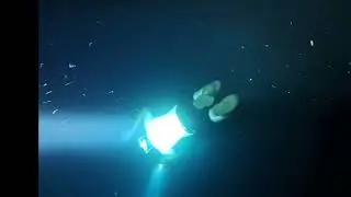 Armageddon freediving October 2023
