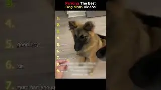 Ranking The Best Dog Mom Moments