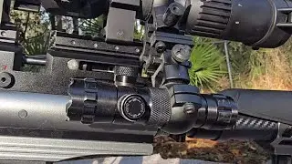 THIS PCP AIR GUN WILL BLOW YOU AWAY 