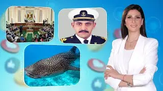 حديث القاهرة| بدء التشريع لقانون حماية الأطفال من السوشيال ميديا- قبطان مصري ينقذ أفريقي من الموت