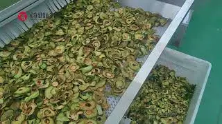 Avocado Fruits Washing Slicing Drying Oil Extraction Line