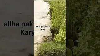 allha pak mag Kary gareeb awam ke faly barbad ho Rahi hiy