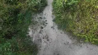 Pískovna Vejprnice - představení lovných míst