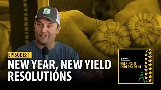 Keeping It Independent - New Year, New Yield Resolutions