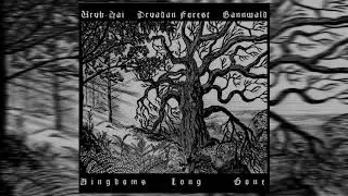 Bannwald/Uruk-Hai/Druadan Forest - Kingdoms Long Gone (Split) (Full Album)