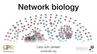 Network Biology: Introduction to STRING and Cytoscape