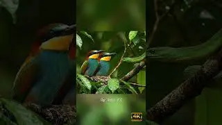 Snake vs Bird Fight | Incredible Nest Defense in the Jungle