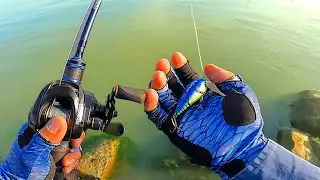 El Mejor Lugar para pescar en el Lago de  Chapala