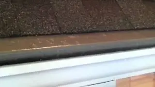 Kansas City Gutter Shield in action!