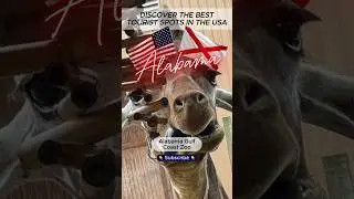 The best tourist attractions in the USA - Alabama - Alabama Gulf Coast Zoo