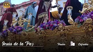El Rostro de Jesús | Carmen Doloroso en el Salvador, Sevilla 2024