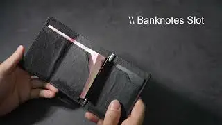 Explorer Wallet