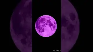 Witness - Backwoods Smack prod by. Gerreaux