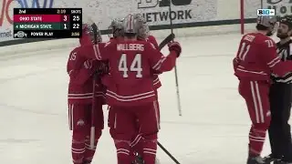 Stephen Halliday Highlights vs. Michigan State | Ohio State Hockey | 02/23/2024