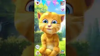 Talking Ginger 😺🥪.. #shorts #ytshorts #shortvideo #funny #thegaminghub