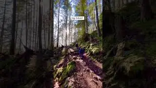 Easy hikes near Vancouver