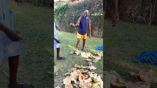 Hilarious🤣🤣 @aarondanteuncharted tries to  peel the coconut #youtubeshorts #aarondante #fypシ #malindi