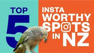 Top Insta-worthy Spots In New Zealand