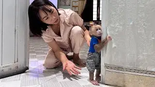 Baby Monkey Is Angry With Mom!? What Happened?