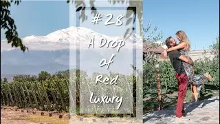 Top Vineyards of South America | #28 Travel Guide, Chile and Argentina
