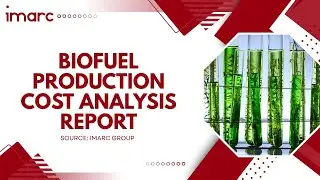 How to Start a Biofuel Production Plant: Project Cost Analysis