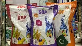 FMC SOP FMC Potash | Ultra sop | Sulphate of Potash | Kissan Ghar | Quality #kissanghar #kisan #sop