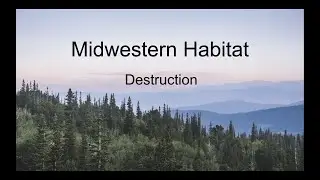 Digital Remix: Habitat In The Midwest