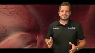 Estrogen Dominance?!?