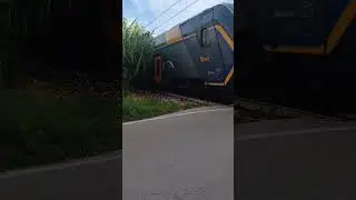 rok a viserba