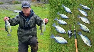How to Catch Winter Crappie from the Bank (PNW) | We Did it, Another Crappie Limit (02/08/2026)!