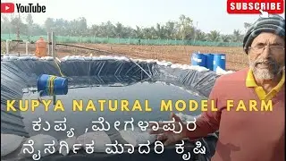 ಕುಪ್ಯ, ಮೇಗಳಾಪುರ ನೈಸರ್ಗಿಕ ಮಾದರಿ ಕೃಷಿ || Kupya Natural Model Farm