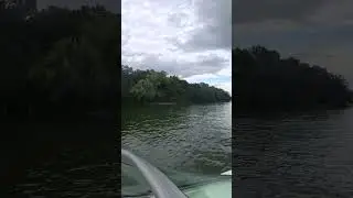 Elm Hill Island (J Percy Priest Lake 7/19/25)