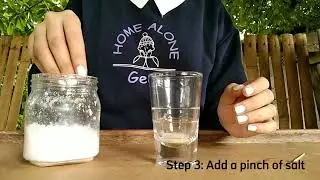 Extract your Own DNA at Home