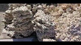 Dry Shelf Rock by Addictive Reef Keeping