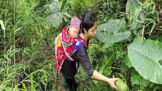 A mother and daughter were met with an accidentwhile gathering wild berries in the forest