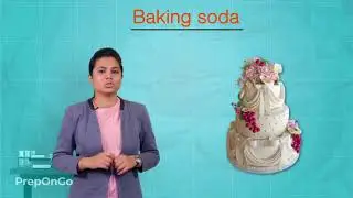 Acids Bases and Salts - 12 | Bleaching Powder, Baking Soda and Washing Soda | CBSE Class 10