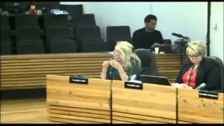 4.11.15 - Shirley Papanui Community Board - Mike Davidson