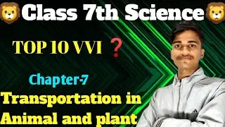 Class 7th science chapter-7 Transportation in animal and plant(important question only top 10)