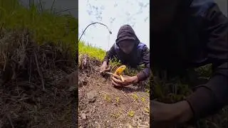 trapping squirrels🐿️#bushcraft #outdoors #trap #survival