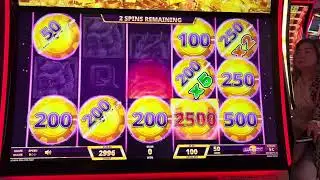 Split n Win Link Slots Game 🥰