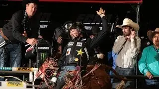 MONSTER RIDE: Sean Willingham rides Pound The Alarm (PBR)