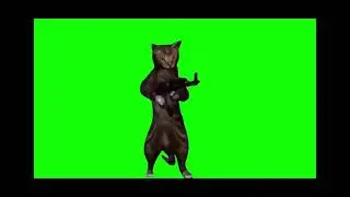 Cat memes (original)(green screen)(read description)