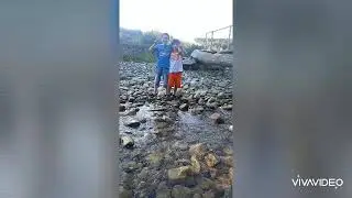 Summer in qareli
